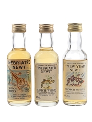 Inebriated Newt & New Year Newt  3 x 5cl / 40%