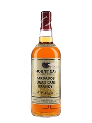 Mount Gay Aged Rum Barbados Sugar Cane Brandy 100cl / 43%