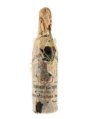 Fernando A De Terry Cves 1900 Brandy