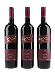 Colome Malbec Estate 2007