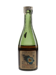 Remy Martin VSOP Bottled 1950s 3cl / 40%