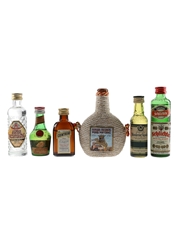 Assorted Liqueurs Anis Montana, Benedictine, Cointreau, Mandarine Napoleaon, Mari Mayans, Schlichte 6 x 3cl-5cl