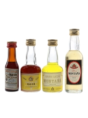 Averna Amaro Siciliano, Montana Cafe, Gran Licor & Ron