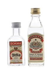 Bushman's & Bokma Vodka