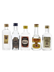 Drift, Gilkon's, Helice Dry Gin, Lordson Dry Gin & MG Gin Bottled 1970s-1980s 5 x 5cl