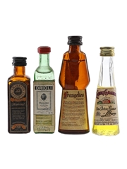 Assorted Italian Liqueurs Drioli, Frangelico, Galliano & Lazzaroni 4 x 2.8cl-5cl