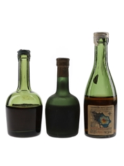 Courvoisier VSOP, Napoleon & Remy Martin VSOP Bottled 1950s-1970s 3 x 3cl-5cl / 40%