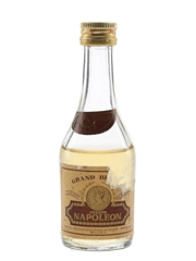 Ioseph Napoleon Grand Brandy  5.2cl / 37.5%