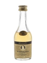 D Campeny Napoleon 12 Year Old VSOP
