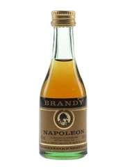 Antonio Nadal Napoleon 12 Year Old Brandy