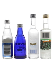 Pushkin Vodka, Royalty Vodka, Vincent Van Gogh Mojito & Snow Queen Vodka Bottled 1980s-1990s 4 x 5cl