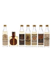 Assorted Scotch Whisky Bartels, Grant's Stand Fast, Highland Laird, His Excellency, Horse Power & John Pitt 7 x 1.1cl / 40%