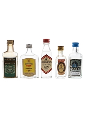 Assorted Gin Gilbey's, Burnett's White Satin, Tann's, Silver Top & Plym Gin 5 x 3cl-5cl