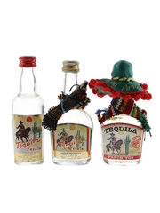 Tequila Panchitos & Tequila Zapata