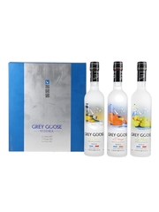Grey Goose Vodka Set