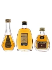 Bisquit VSOP, Hennessy Fine Cognac & Hine VSOP