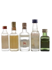 Booth's, Beefeater Dry Gin, Plymouth Dry Gin & Squires Dry Gin Bottled 1960s-1970s 5 x 40%