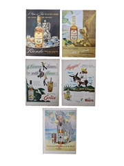 Riondo, Rum Carioca, Ron Merito and Old St.Croix 1940s Rum Advertising Prints 5 x 27cm x 36cm