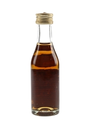 Hine 5 Star Bottled 1960s 3.5cl / 40%