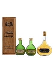 Janneau Grand Armagnac VSOP & XO  3 x 3cl-5cl / 40%