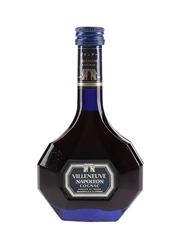 Villeneuve Napoleon Cognac Bottled 1990s 5cl / 40%
