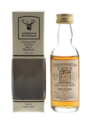 Speyburn 1971 Connoisseurs Choice Bottled 1990s - Gordon & MacPhail 5cl / 40%