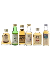 Assorted Blended Scotch Whisky Bell's Extra Special, John Barr, Keswick Mist, Inebriated Newt, The Whisky Of 1990 & Whyte & Mackay Special Reserve 6 x 5cl / 40%