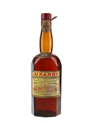 Luxardo Albicocca