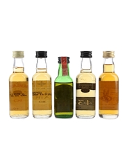 Assorted Islay Single Malt Scotch Whisky  5 x 5cl