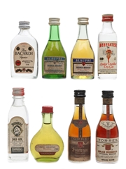 Assorted Brandy, Gin & Rum Miniatures Janneau, Bacardi, Torres, Beefeater 8 x 3cl-5cl