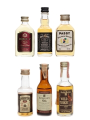 Assorted World Whiskies Miniatures 5 x 5cl, 4.7cl
