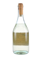 Romano Levi Grappa Della Donna Selvatica Bottled 1990 75cl / 54%