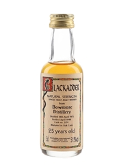 Bowmore 1973 25 Year Old Cask 3174