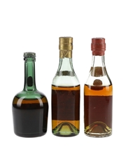 Assorted Cognac Bottled 1950s-1960s 3 x 5cl / 40%