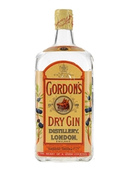 Gordon's Dry Gin Spring Cap