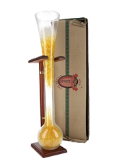 The Argyle Three Quarter Yard Glass