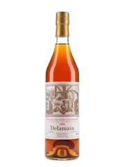 Delamain 1995 Landed 1996, Bottled 2015 - Berry Bros & Rudd Ltd 70cl / 40%