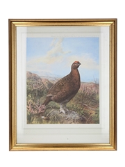 The Famous Grouse Framed Print C.Stanley Todd, 1985 45.5cm x 55.5cm