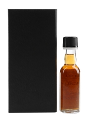 Macallan 1993 30 Year Old Duty Paid Sample Bottled 2023 - Halcyon Spirits 5cl / 49.8%