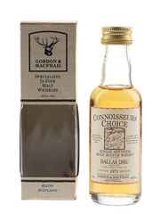 Dallas Dhu 1971 Connoisseurs Choice Bottled 1990s - Gordon & MacPhail 5cl / 40%