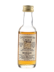 Benriach 1982 Bottled 1990s - Connoisseurs Choice 5cl / 40%