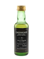 Pittyvaich 1977 11 Year Old Bottled 1989 - Cadenhead's 5cl / 56.6%