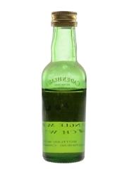 Ledaig 1973 21 Year Old Bottled 1995 - Cadenhead's 5cl / 53.4%