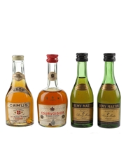 Assorted Cognac Bottled 1960s-1970s 4 x 3cl-5cl / 40%
