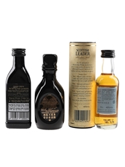 Assorted Blended Scotch Whisky  3 x 5cl