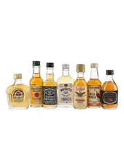 Assorted American Whiskey & Canadian Whiskey  7 x 5cl