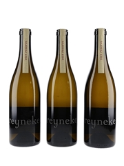 2019 Reyneke Sauvignon Blanc Reserve Stellenbosch 3 x 75cl / 13.5%