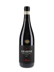 2017 Amarone Della Valpolicella Classico Allegrini 75cl / 16%