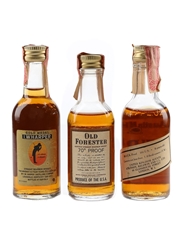 Assorted Kentucky Straight Bourbon Old Forester, IW Harper 4 Year Old &Wild Turkey 101 Proof  8 Year Old 3 x 5cl