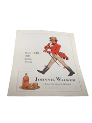 Johnnie Walker Advertisement Print 1951 - Born 1820, Still Going Strong 26cm x 36cm